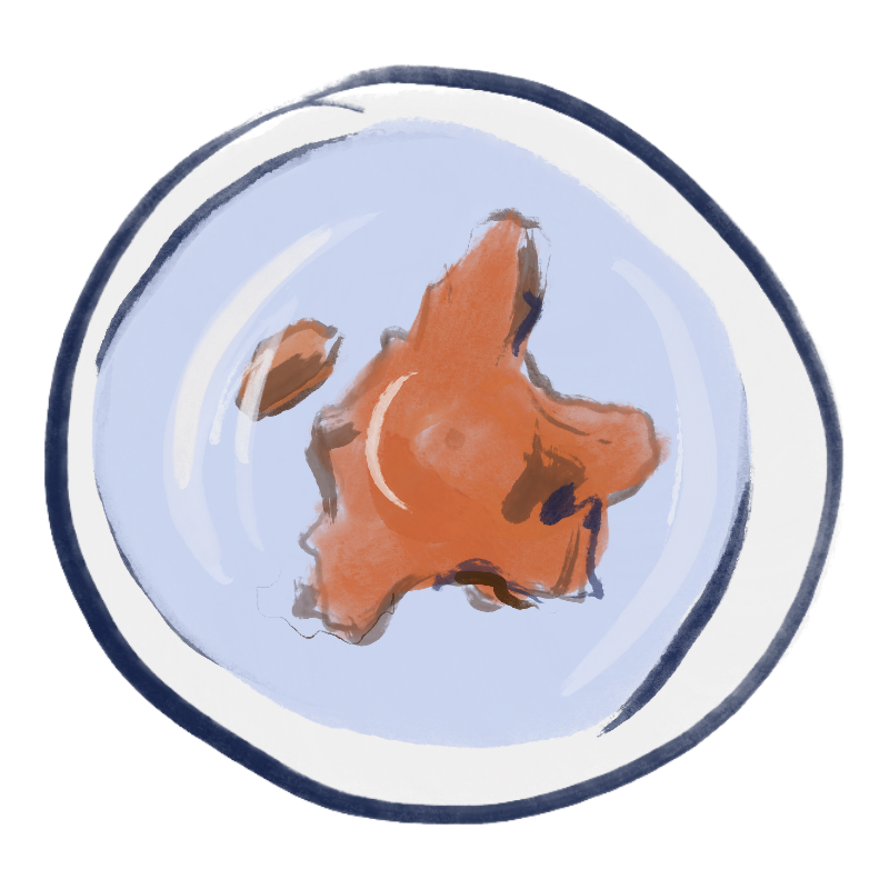 orange peel soaked in water